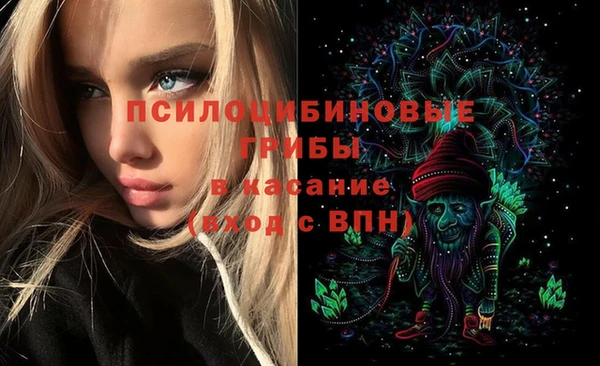 мет Аркадак