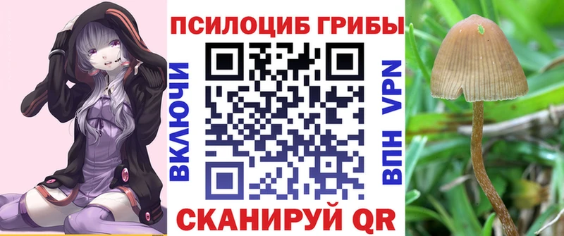 купить наркотики сайты  Ясногорск  мега зеркало  Галлюциногенные грибы MAGIC MUSHROOMS 